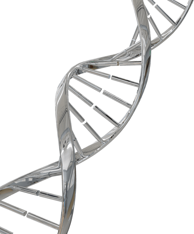 DNA